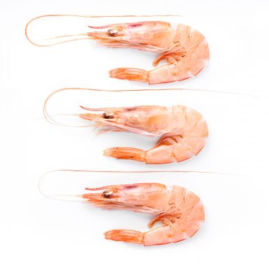 Fresh shrimps | Delicius