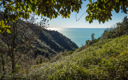 Giornata Mondiale dell’ambiente. FAI e Delicius: una collaborazione fondata sul territorio.