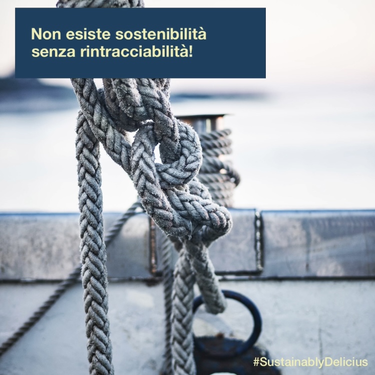 Non esiste sostenibilità senza rintracciabilità!