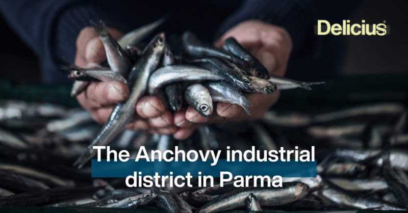 The Anchovy industrial district in Parma