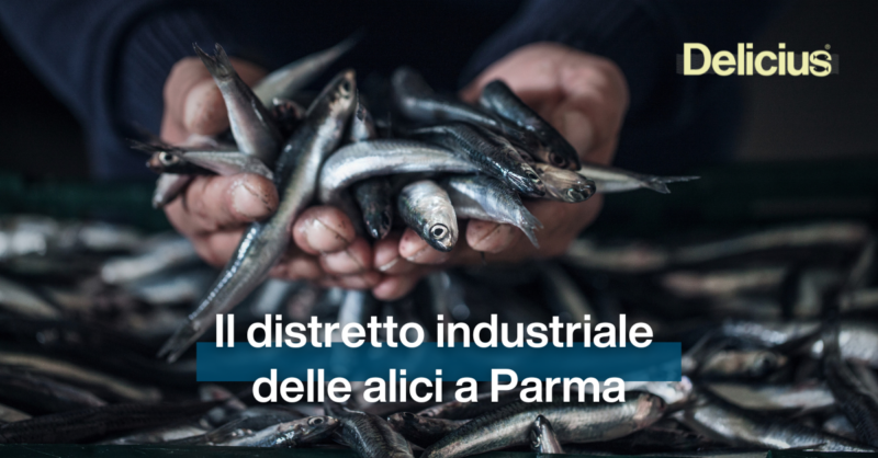Il distretto industriale delle alici a Parma