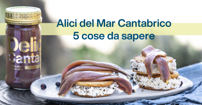 Alici del Mar Cantabrico, 5 cose da sapere